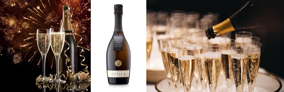 Sparkling wine delivery Marbella